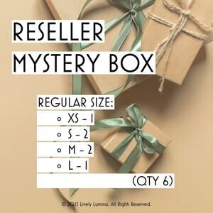 $𝟑𝟔 - Regular Size Reseller Mystery Box